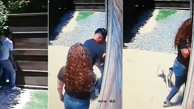 video: ladrones se metieron en una casa de la plata, la desvalijaron y huyeron