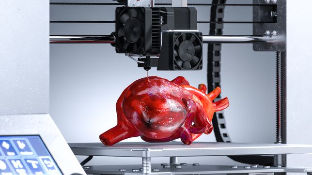 lanzan en la region un curso de moldeado e impresion 3d