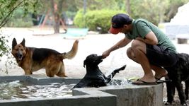 la municipalidad de la plata emitio un alerta amarillo por calor intenso la municipalidad de la plata emitio un alerta amarillo por calor intenso
