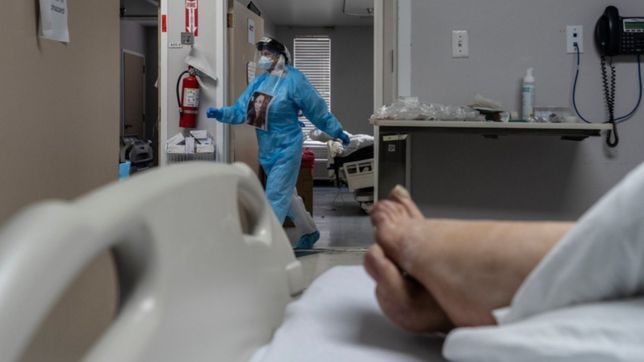 en la plata quedan solo 356 pacientes activos con coronavirus