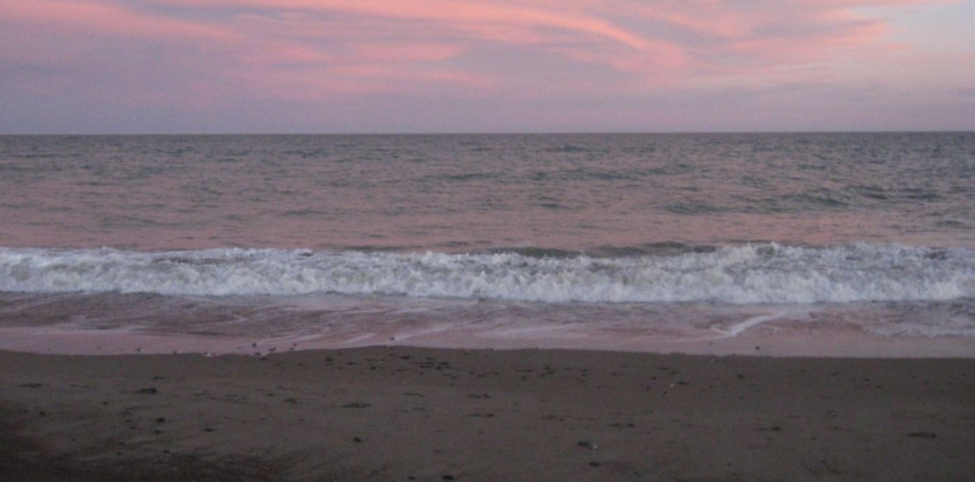 1637699806289.jpeg?x=19&y=379&width=1470&height=735&rotate=0&scaleX=1&scaleY=1&ow=1500&oh=1125&&cw=1920&ch=950