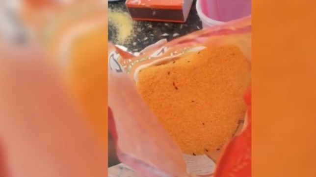 vecino de berisso denuncio que le llego el bolson de alimentos municipal lleno de bichos