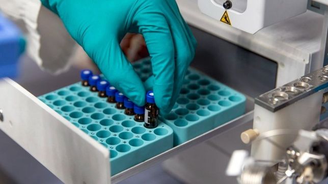 nuevas cepas del covid-19: ¿cuantas hay y que se sabe de cada una?