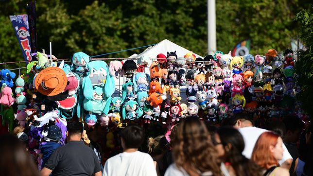 los festejos del ano nuevo chino siguen este domingo luego de reunir a mas de 300 mil personas el primer dia