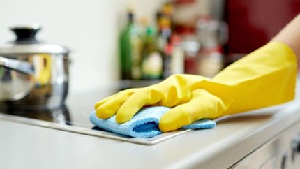 De la AUH a subsidios de la SUBE: los planes de ANSES para las empleadas domésticas