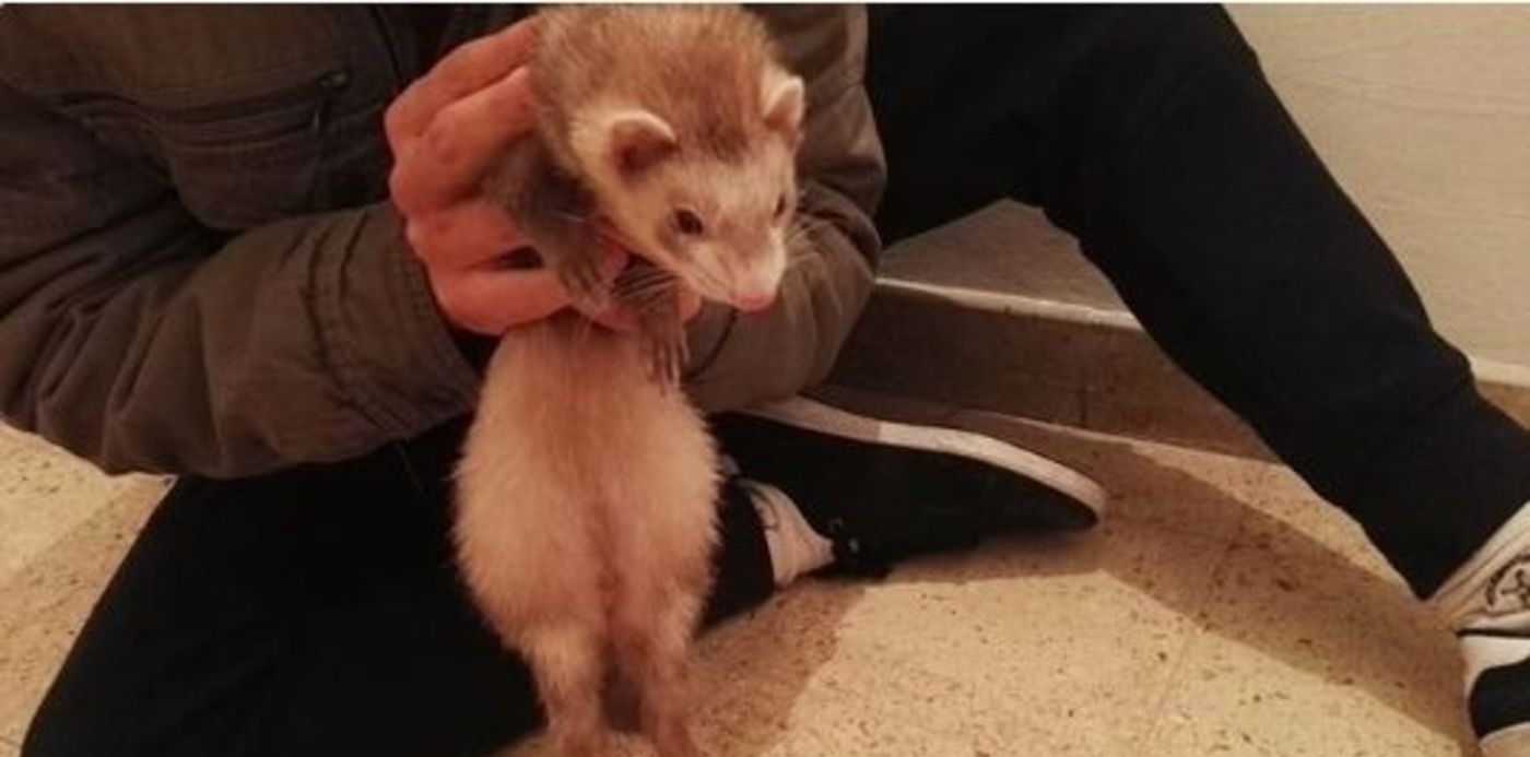 1528120664718.jpg?&cw=1920&ch=950