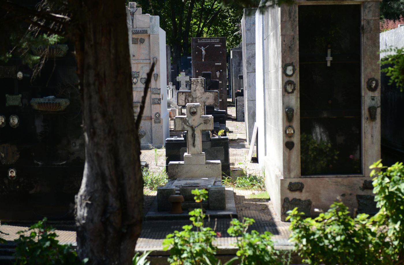 Cementerio de La Plata (2).jpg