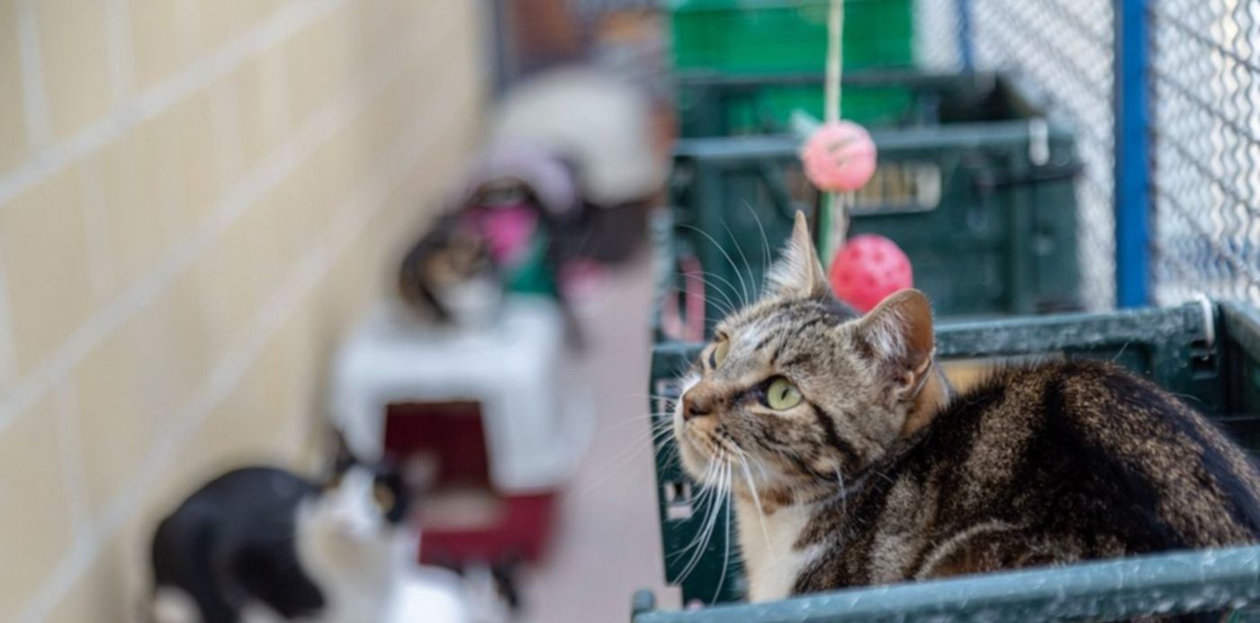 1655653535071.jpg?&cw=1920&ch=950