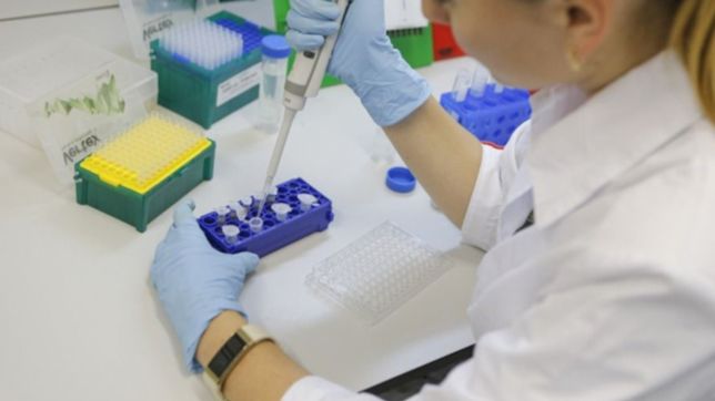 un test de sangre podria adelantar que personas sufriran mas al contagiarse covid-19