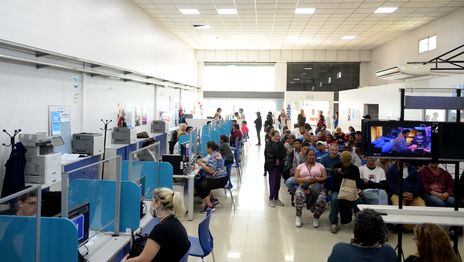 ANSES (7).JPG