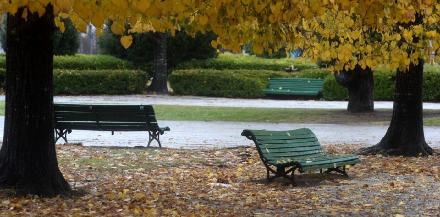 1621690315114.jpg?x=6&y=119&width=1488&height=744&rotate=0&scaleX=1&scaleY=1&ow=1500&oh=998&&cw=1920&ch=950