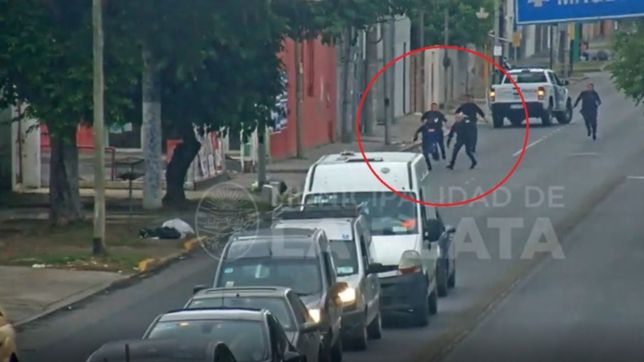 video: robaron un auto, los vieron por las camaras, los atraparon y todo quedo filmado