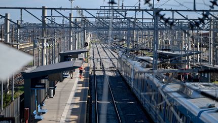 Revelan por qué el Tren Roca funciona con servicio limitado y cómo se trabaja para solucionarlo
