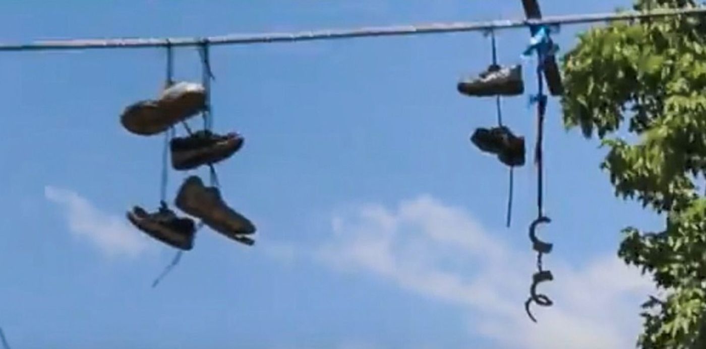 1542744078002.jpg?x=81&width=1198&oh=599&scaleY=1&ow=1280&y=0&height=599&rotate=0&scaleX=1&&cw=1920&ch=950