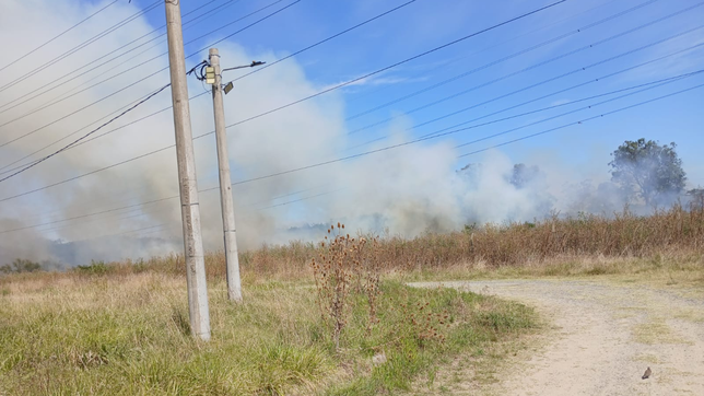un voraz incendio se desato en san carlos y arraso con al menos 10 hectareas 