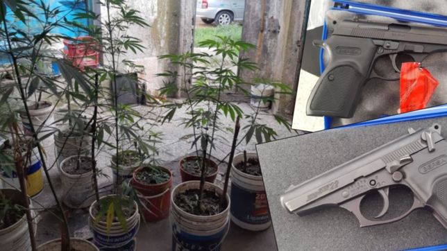 lo fueron a buscar por golpear a su pareja y termino preso por tener marihuana y dos armas