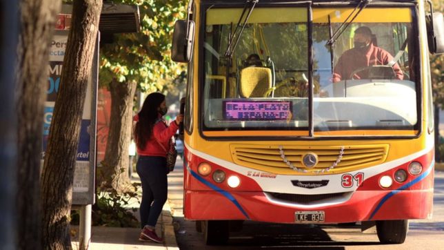 el transporte publico de pasajeros sera gratuito este domingo en la provincia