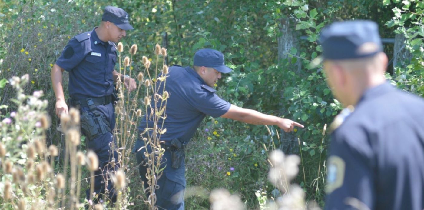 1548339971363.jpg?rotate=0&y=215&height=734&scaleX=1&scaleY=1&ow=1499&oh=996&x=24&width=1468&&cw=1920&ch=950