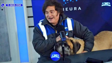 Milei presentó en vivo a su perro Conan: Acá está, ¿viste que es de verdad?
