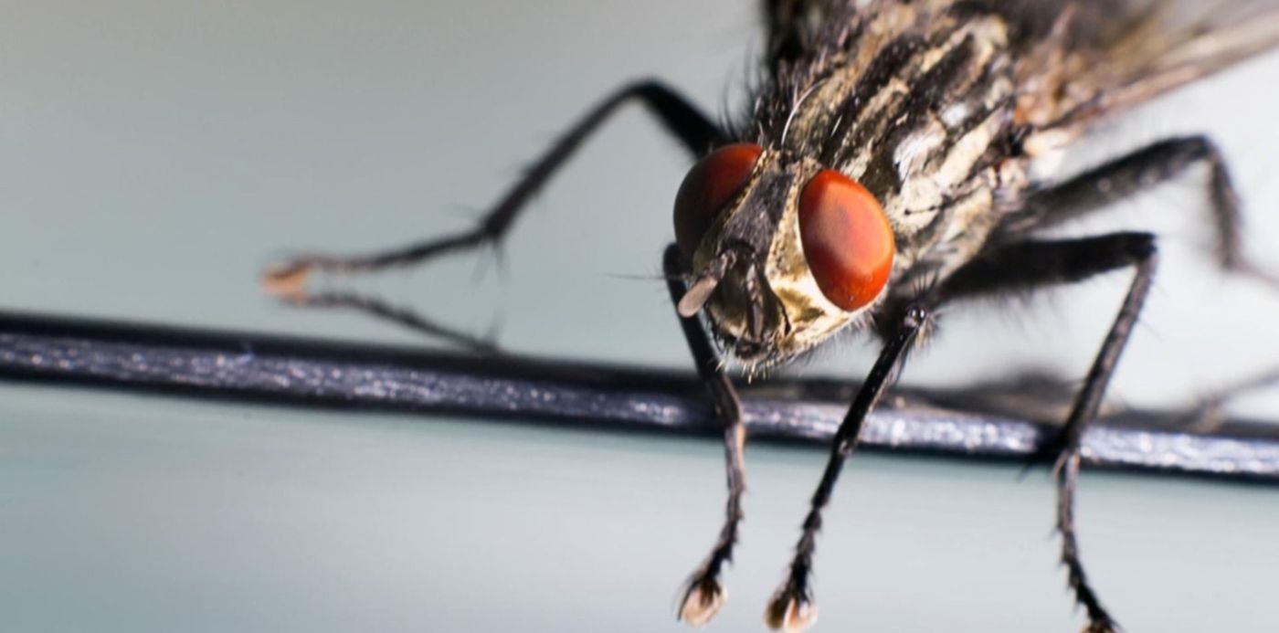 1560205555262.jpg?x=0&y=59&width=1500&height=750&rotate=0&scaleX=1&scaleY=1&ow=1500&oh=842&&cw=1920&ch=950