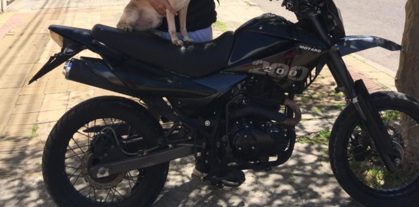 1550013092828.jpg?x=13&rotate=0&ow=1280&oh=720&y=78&width=1264&height=632&scaleX=1&scaleY=1&&cw=1920&ch=950