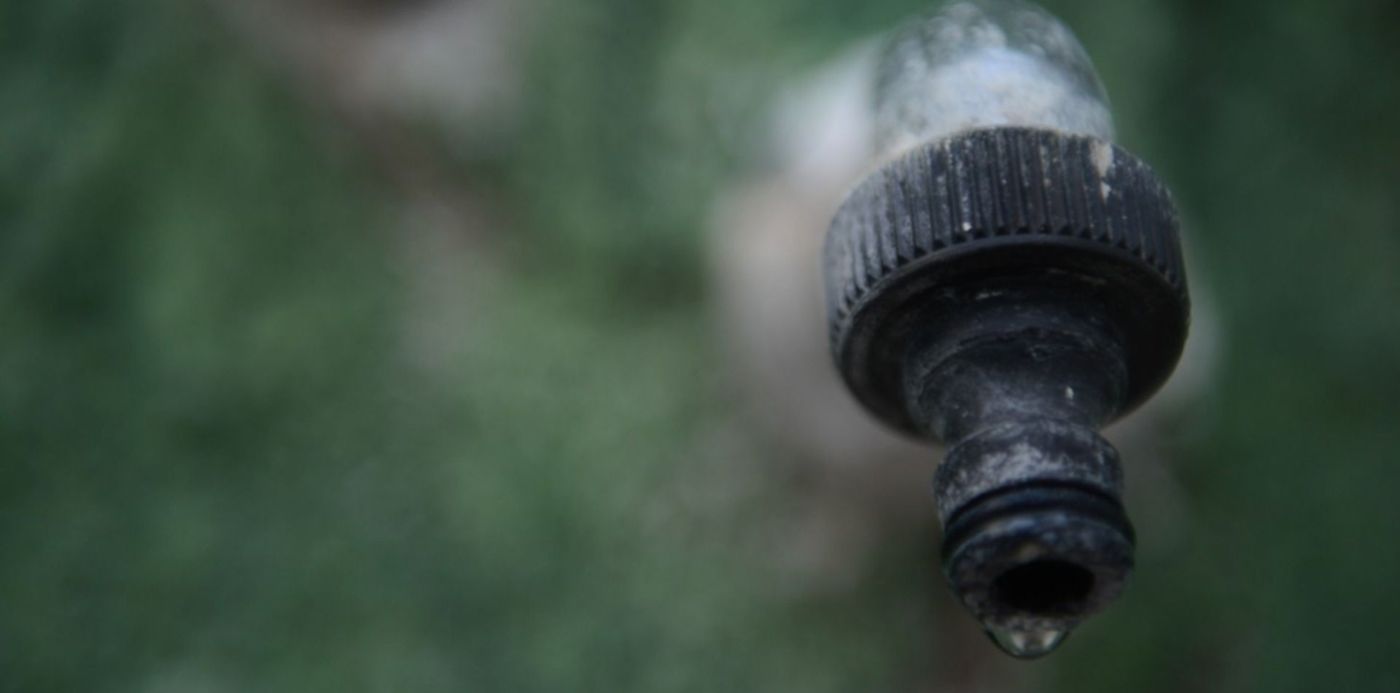 1580776083484.jpg?x=24&y=194&width=1455&height=728&rotate=0&scaleX=1&scaleY=1&ow=1500&oh=996&&cw=1920&ch=950