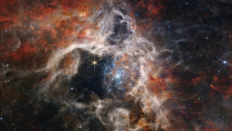 El Telescopio James Webb encontró un planeta que podría alojar vida