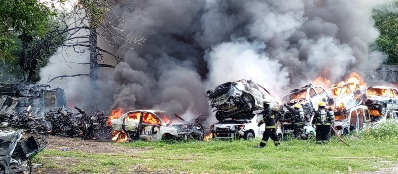 WhatsApp Image 2024-02-24 at 18.14.14.jpeg