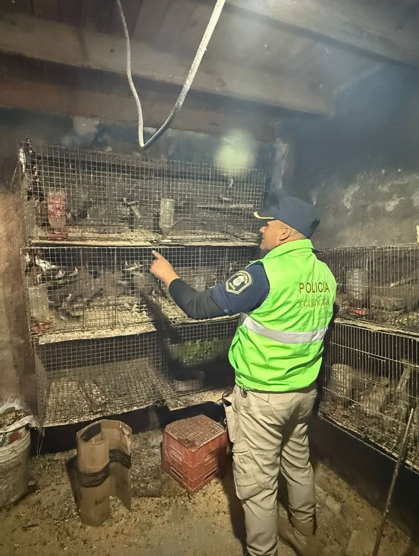 Rescate de animales Los Hornos (1)