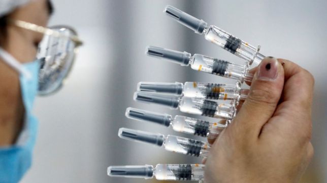 el gobierno afirmo que en 2022 podria estar lista la vacuna argentina contra el covid-19