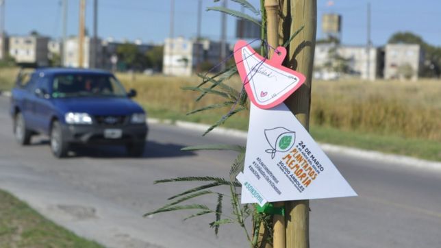 estudiantes se suma a la campana plantamos memoria de abuelas por el 24 de marzo