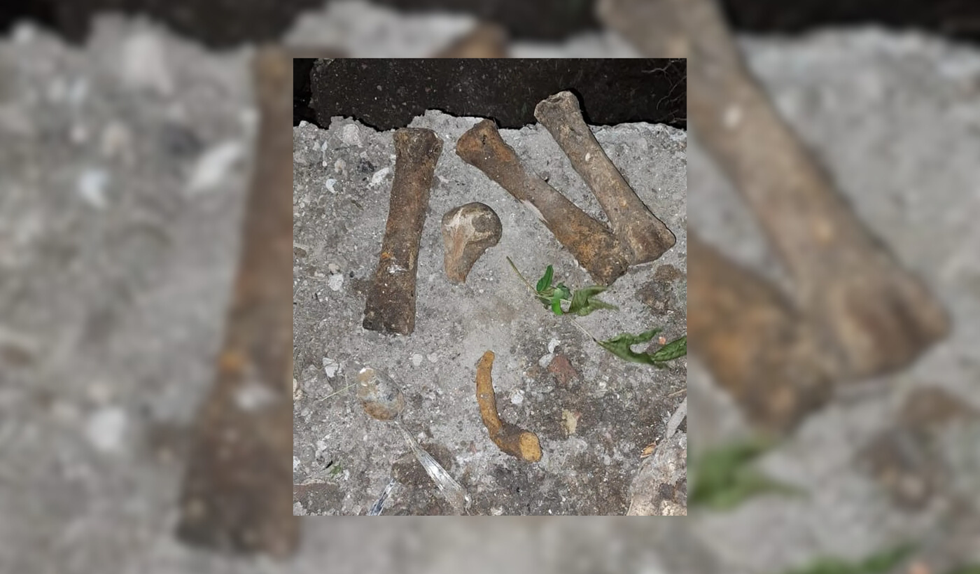 Diseño sin título (11)