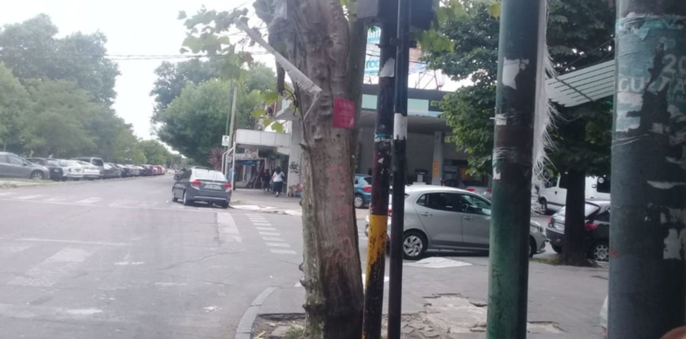 1578570967301.jpeg?x=8&y=88&width=1264&height=632&scaleX=1&scaleY=1&oh=720&rotate=0&ow=1280&&cw=1920&ch=950