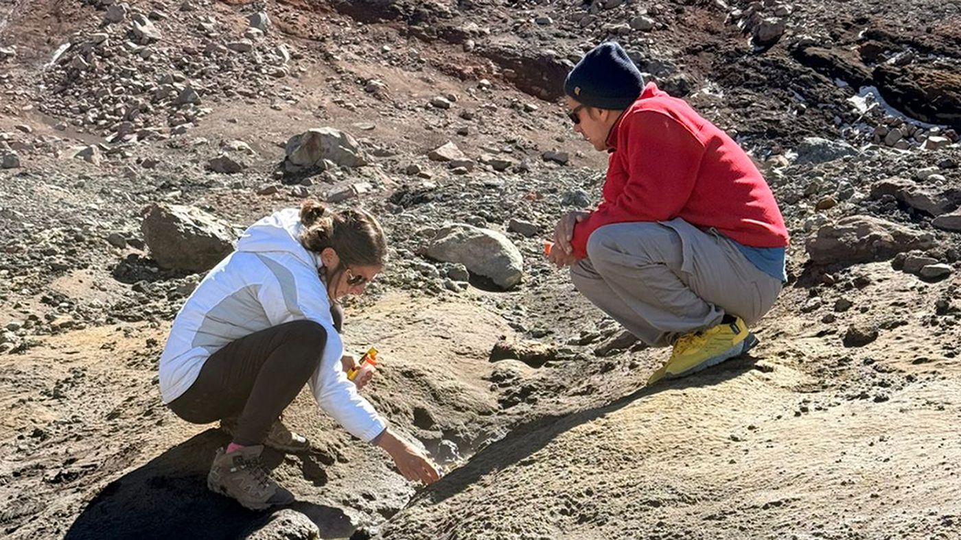 Las muestras fueron recolectadas en la Puna y la Patagonia, dos regiones con condiciones similares a las de la Tierra primitiva