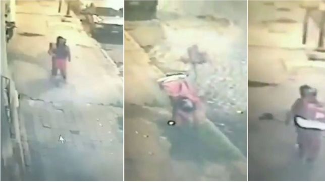 video: un repartidor de pedidos ya dejo una pizza, arranco un arbol de raiz y se lo robo