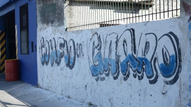 asoma la campana en las calles: antes fue creo en pablo, hoy es confio en garro