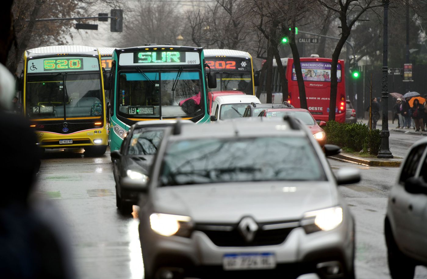 Micros colectivos (9).JPG