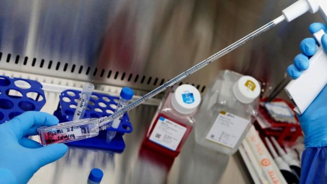 cientificos de la unlp buscan determinar como circula el virus en la plata y la provincia