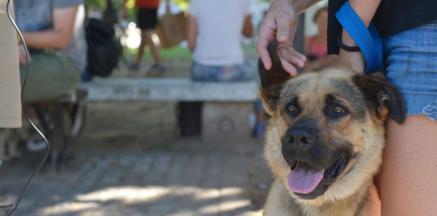 1546724810203.jpg?height=739&rotate=0&scaleX=1&scaleY=1&ow=1499&x=10&y=241&width=1478&oh=996&&cw=1920&ch=950