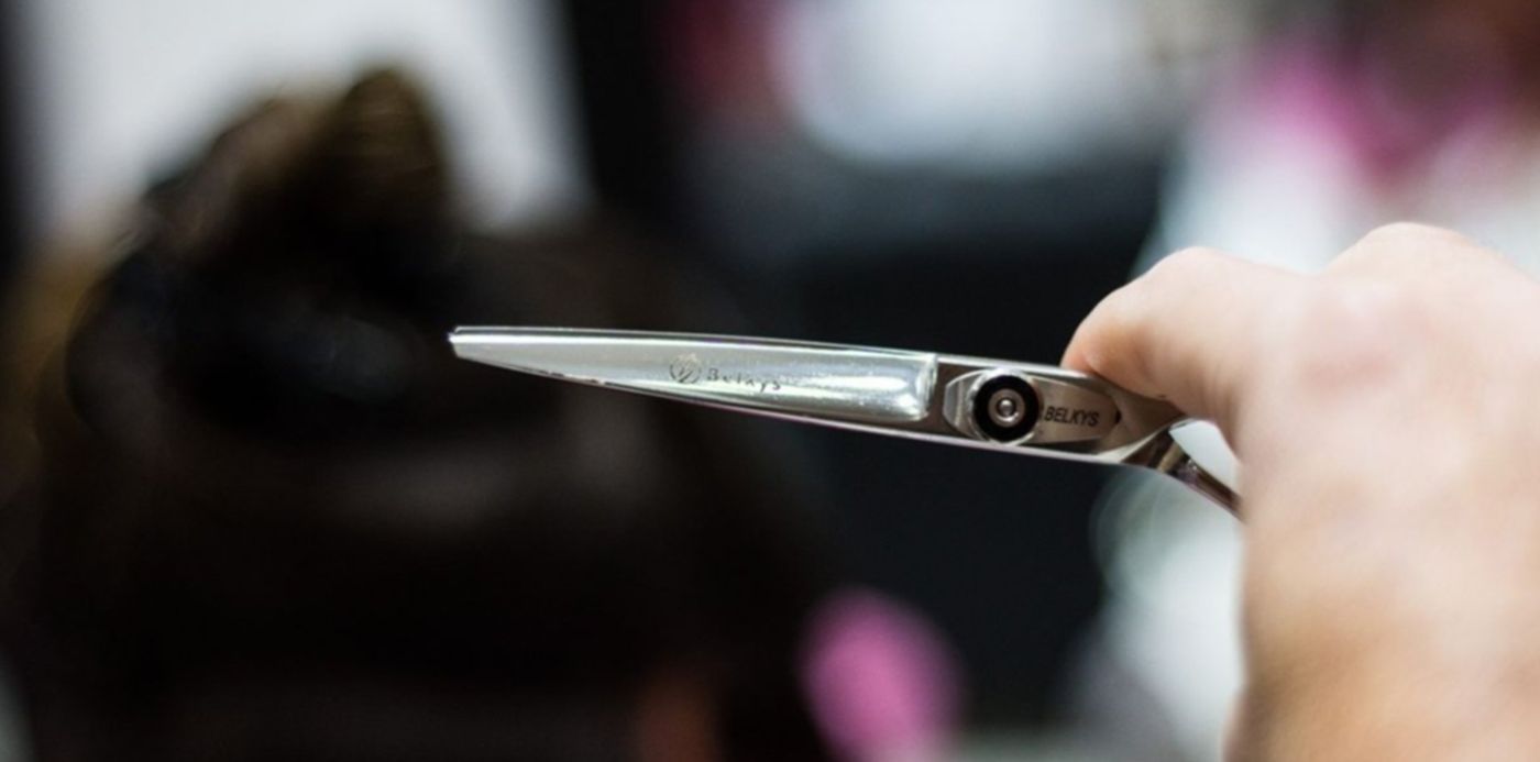 1607684666623.jpg?x=5&y=91&width=1189&height=595&rotate=0&scaleX=1&scaleY=1&ow=1200&oh=800&&cw=1920&ch=950