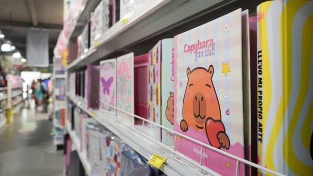 la promocion del bapro con 25% de descuento sin tope y cuotas sin interes para la vuelta a clases