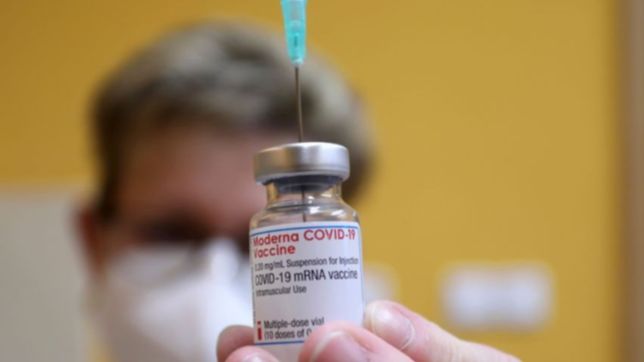 afirman que la vacuna de moderna produce el doble de anticuerpos que la de pfizer