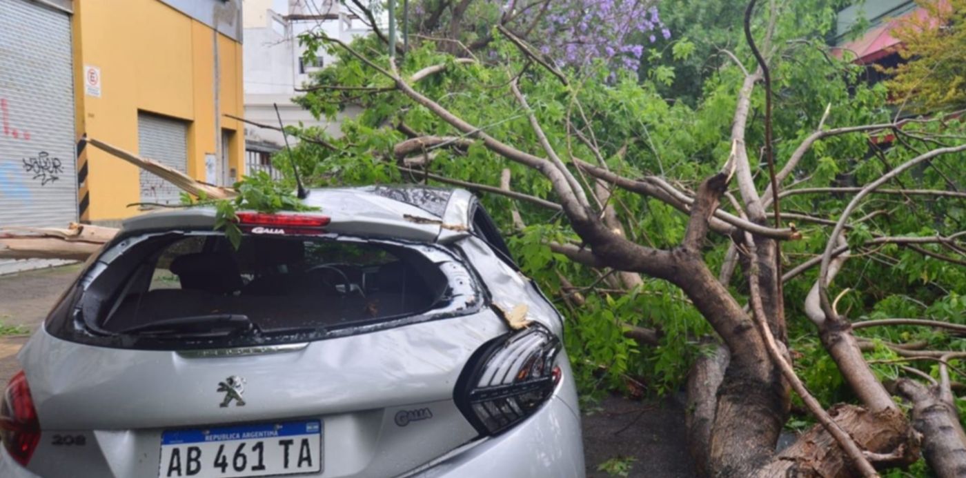 1575057982206.jpeg?rotate=0&ow=1280&x=3&width=1273&height=637&oh=850&y=110&scaleX=1&scaleY=1&&cw=1920&ch=950