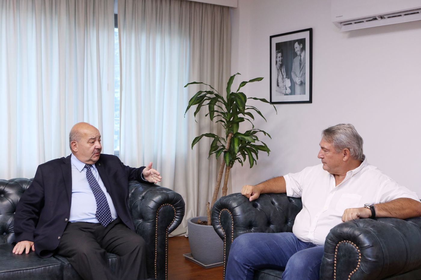 Tauber Katopodis Saintout y DOnofrio UNLP Provincia (1).jpg