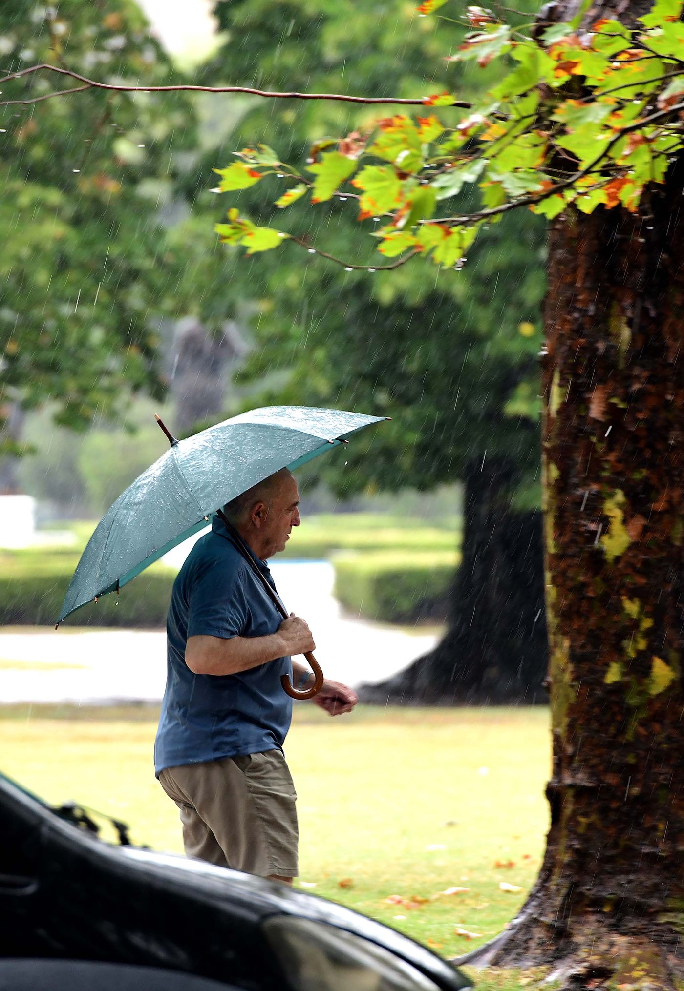 Clima lluvias (7).jpg