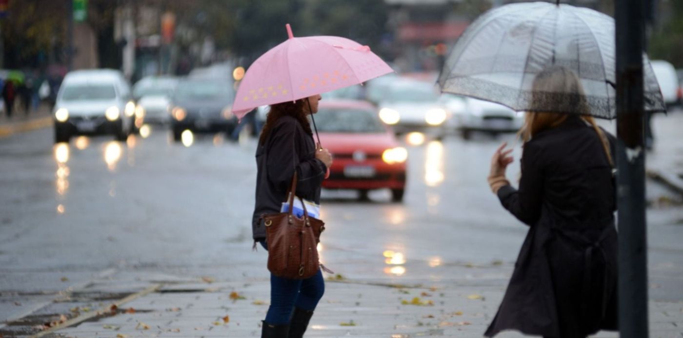 1560606388788.jpg?height=745&scaleX=1&scaleY=1&oh=1013&x=5&width=1490&rotate=0&ow=1500&y=88&&cw=1920&ch=950