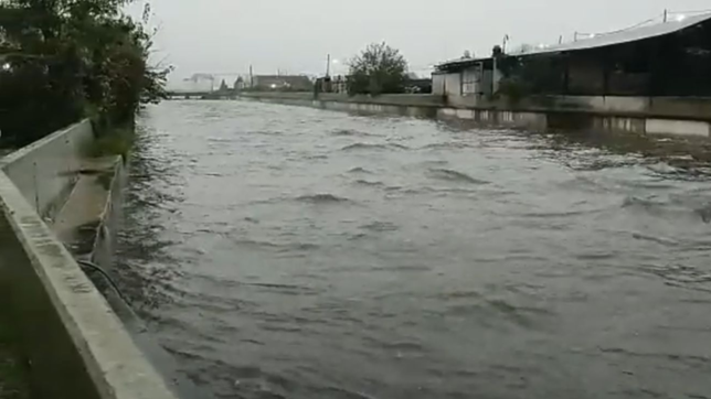 el impresionante video que muestra el estado del arroyo el gato repleto de agua