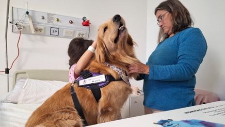 La historia de los perros del Hospital de Niños que acompañan, conectan y alivian a las infancias La historia de los perros del Hospital de Niños que acompañan, conectan y alivian a las infancias