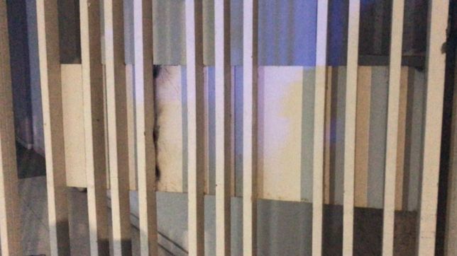 videos: barreteo la puerta de un edificio de la plata y quiso entrar a robar