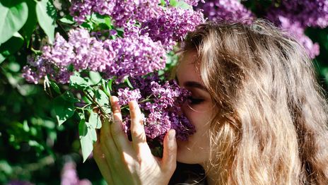 Lo que la primavera te hace estornudar y no siempre es alergia